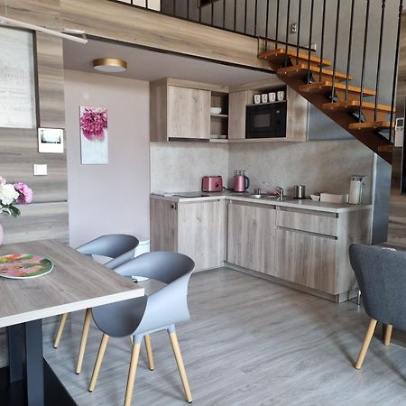 Apartmany Etenia Kadan Ngoại thất bức ảnh